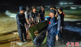 韩国 污漫画,揭秘成人娱乐产业的灰色地带